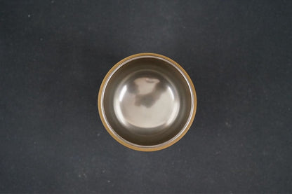 Nanten Maki-e Large Natsume Tea Caddy by Hosokawa Shiko — Silver Interior, Signed Box
