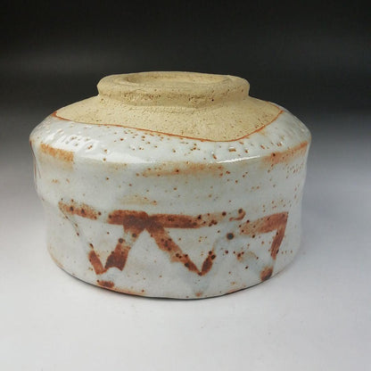 Shino Ware Tea Bowl by Shusen - Matcha Chawan with Daitokuji Temple Inscription Box