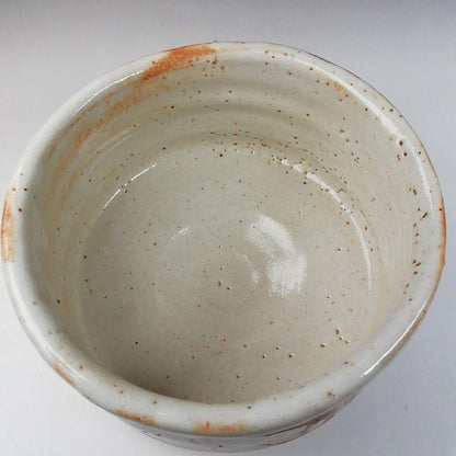 Shino Ware Tea Bowl by Shusen - Matcha Chawan with Daitokuji Temple Inscription Box