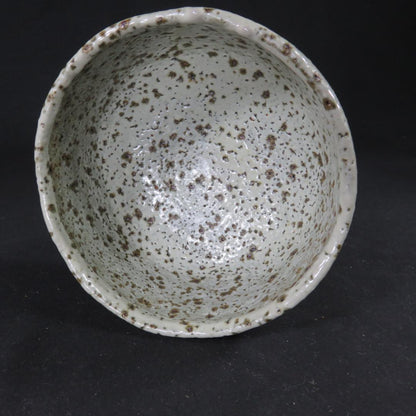 Saiun 'Colorful Clouds' Tea Bowl by Yoshian – Mt. Fuji Clay – Japan