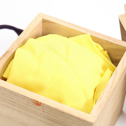 Four Seasons Gold Maki-e Hira-Natsume by Kuze Soshun - Lacquer Tea Caddy with Nashiji