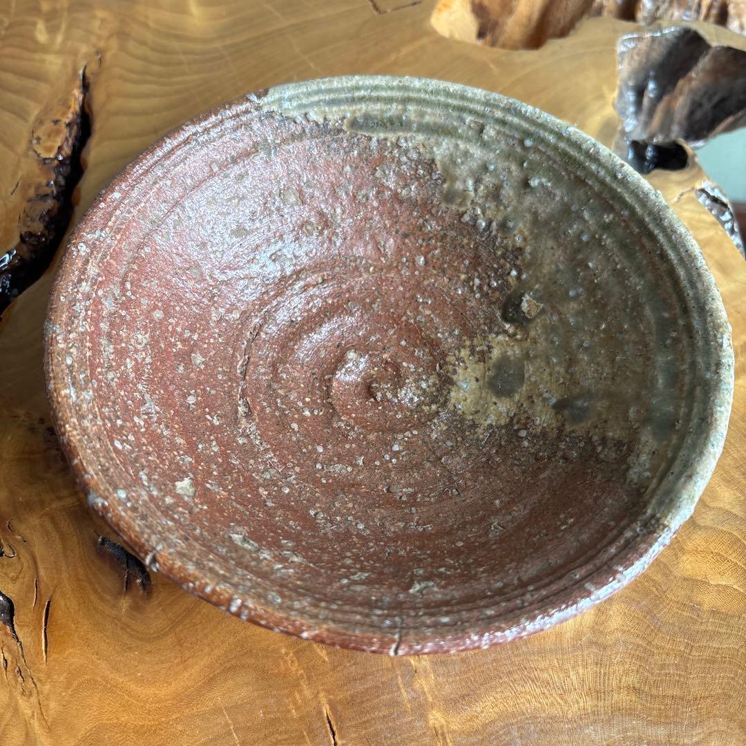 Shigaraki Hira-Chawan by Rakusai — Natural Ash Glaze with Bidoro, Signed Wood Box
