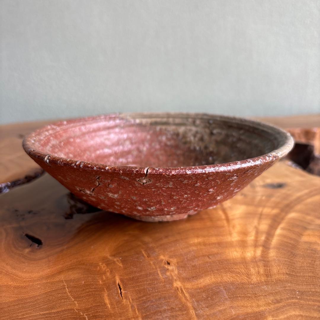 Shigaraki Hira-Chawan by Rakusai — Natural Ash Glaze with Bidoro, Signed Wood Box
