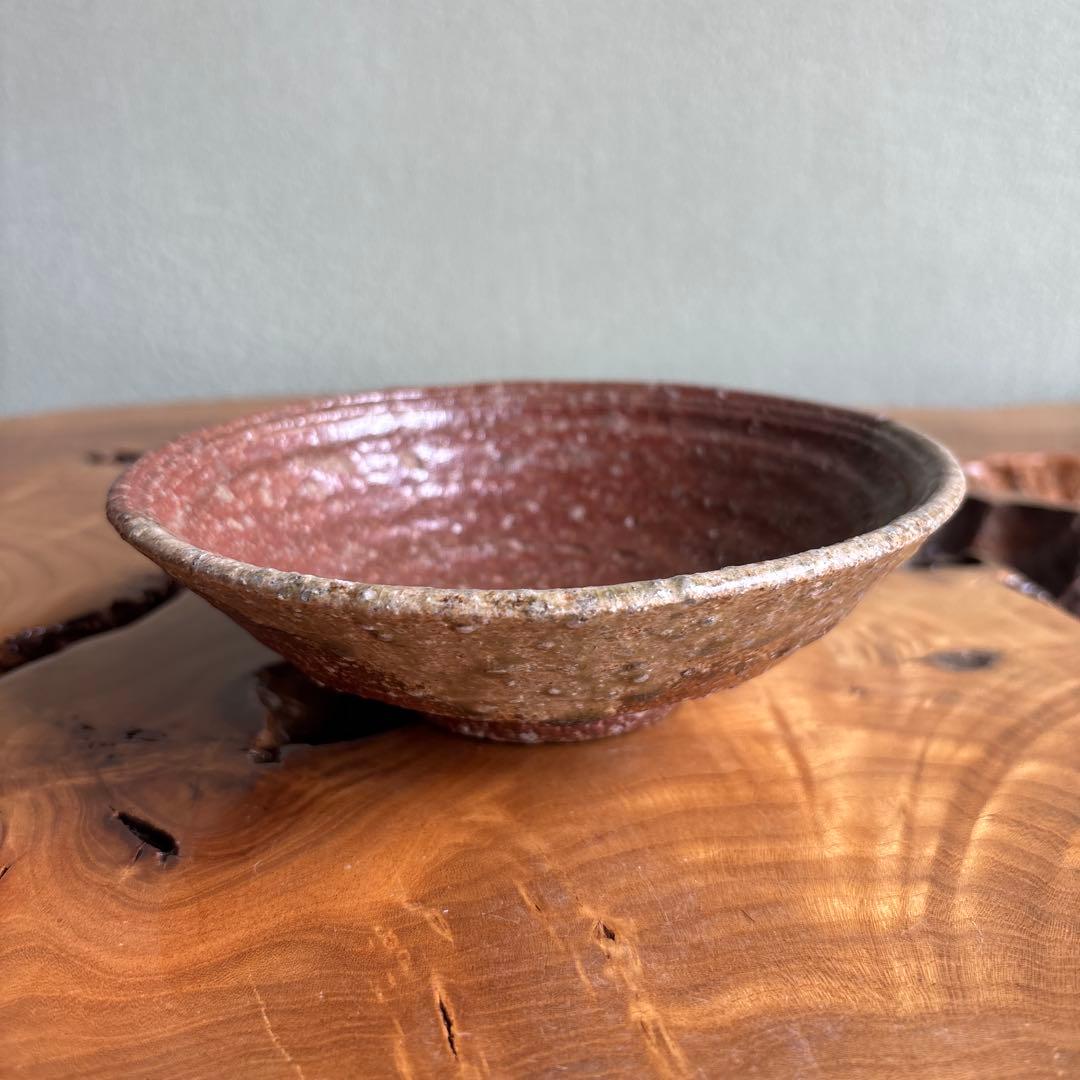 Shigaraki Hira-Chawan by Rakusai — Natural Ash Glaze with Bidoro, Signed Wood Box