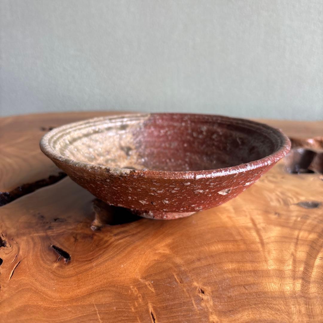 Shigaraki Hira-Chawan by Rakusai — Natural Ash Glaze with Bidoro, Signed Wood Box