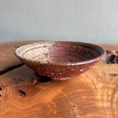 Shigaraki Hira-Chawan by Rakusai — Natural Ash Glaze with Bidoro, Signed Wood Box