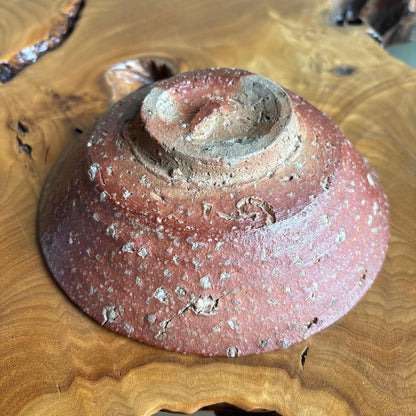 Shigaraki Hira-Chawan by Rakusai — Natural Ash Glaze with Bidoro, Signed Wood Box