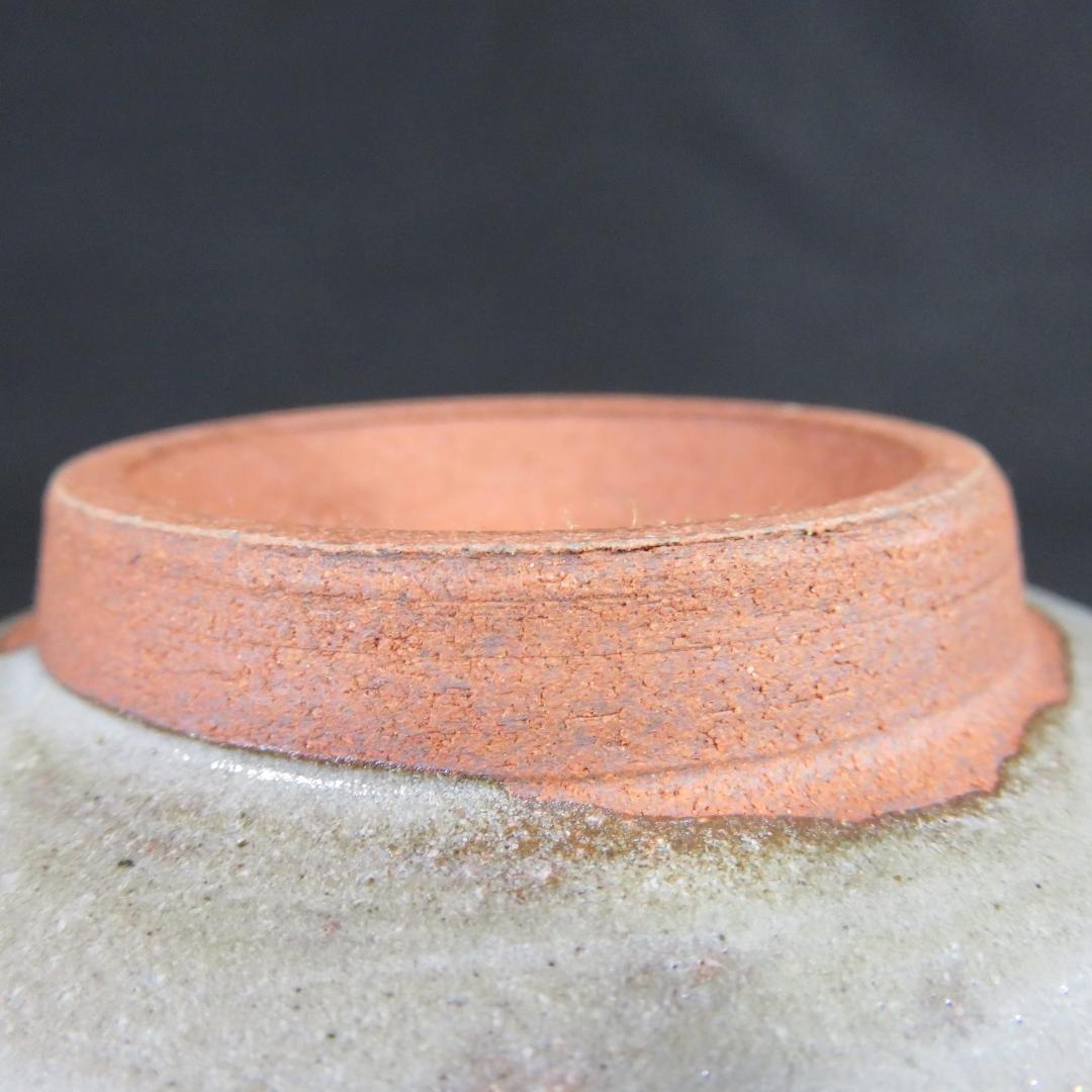 Miura Chikuken | Tsutsu Chawan Plum Branch | Kyoto Overglaze Enamel | Tea Ceremony Cylindrical Bowl