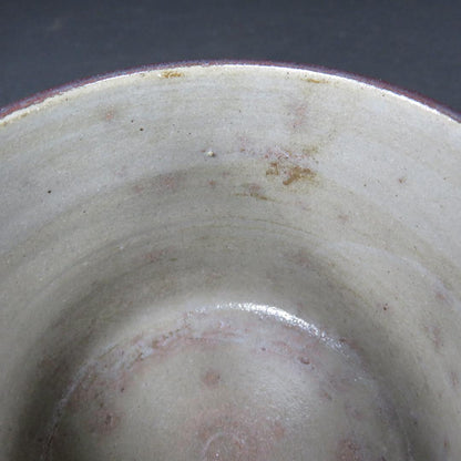 Miura Chikuken | Tsutsu Chawan Plum Branch | Kyoto Overglaze Enamel | Tea Ceremony Cylindrical Bowl