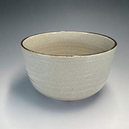Gyozan Kyo-yaki Chawan with Dragonfly Design - Colorful Overglaze Enamel Tea Bowl