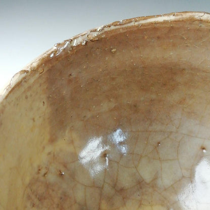 Hagi Ware Tea Bowl by Hirose Tanga - Tenpozan Kiln Chawan with Signed Box