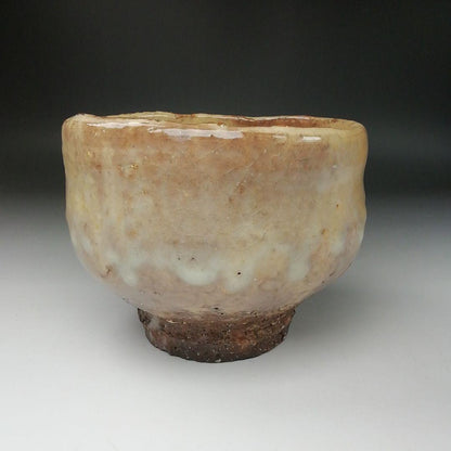 Hagi Ware Tea Bowl by Hirose Tanga - Tenpozan Kiln Chawan with Signed Box