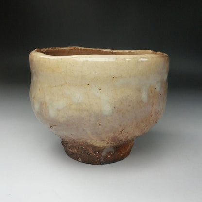 Hagi Ware Tea Bowl by Hirose Tanga - Tenpozan Kiln Chawan with Signed Box