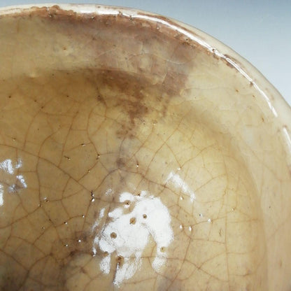 Hagi Ware Tea Bowl by Hirose Tanga - Tenpozan Kiln Chawan with Signed Box