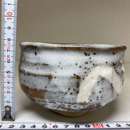 Noda Asanoshin Nezumi Shino Tea Bowl — Fukuju, Daitoku-ji Kakitsuke