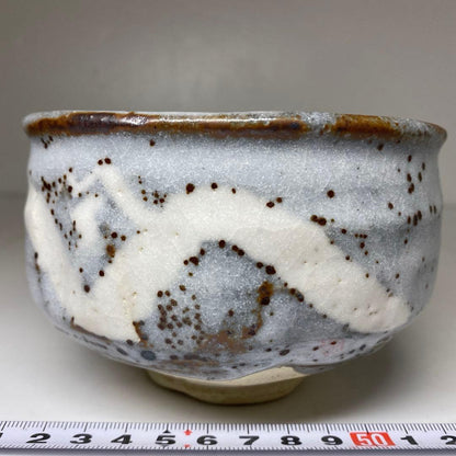 Noda Asanoshin Nezumi Shino Tea Bowl — Fukuju, Daitoku-ji Kakitsuke