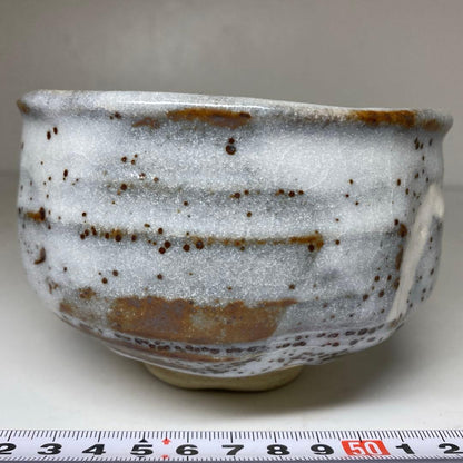 Noda Asanoshin Nezumi Shino Tea Bowl — Fukuju, Daitoku-ji Kakitsuke
