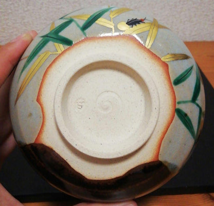 Zeze-yaki Chawan, Ashi-ni-Hotaru Motif in Black and White Glaze, Signed Box
