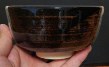Zeze-yaki Chawan, Ashi-ni-Hotaru Motif in Black and White Glaze, Signed Box