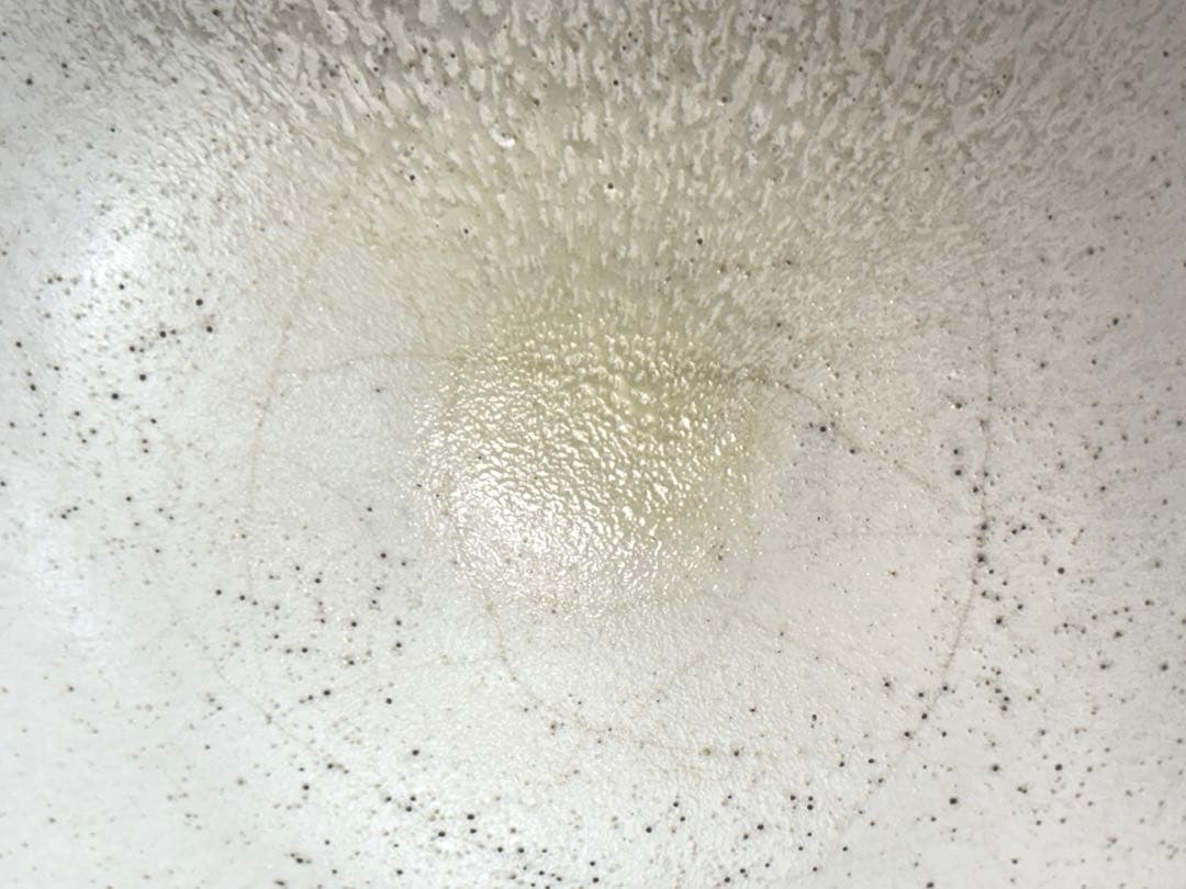 White Glaze Hira-Chawan by Taniguchi Ryozo — Crawled Frost Surface