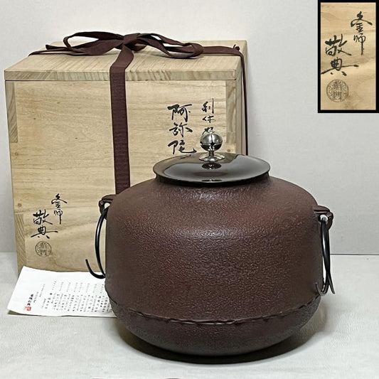 Amidado-gama Tea Kettle by Takahashi Keiten - Living National Treasure, Silver Knob