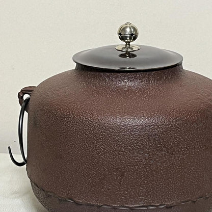 Amidado-gama Tea Kettle by Takahashi Keiten - Living National Treasure, Silver Knob
