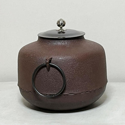 Amidado-gama Tea Kettle by Takahashi Keiten - Living National Treasure, Silver Knob