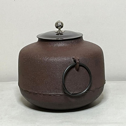 Amidado-gama Tea Kettle by Takahashi Keiten - Living National Treasure, Silver Knob