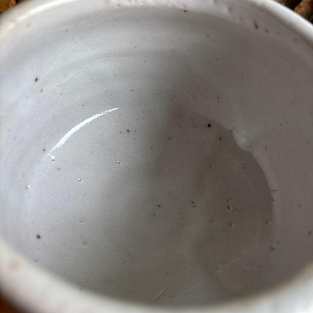Shino Ware Kikusen Kiln Tanaka Gen-ya Matcha Bowl — Signed Tomobako, Feldspar Glaze Chawan