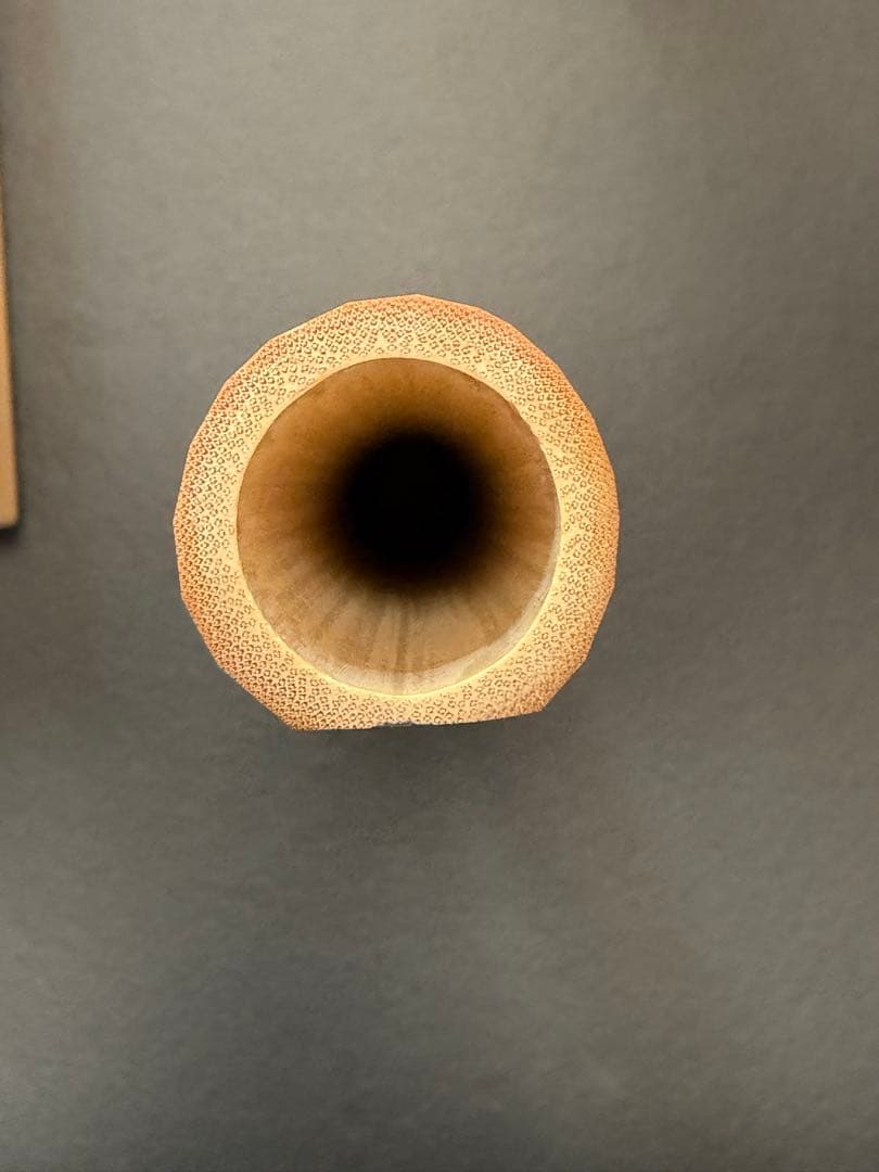 Tea Scoop by Kobayashi Taigen, Head Priest of Daitokuji Obai-in — Mei 'Toyo' (Peach Leaf), Signed Box
