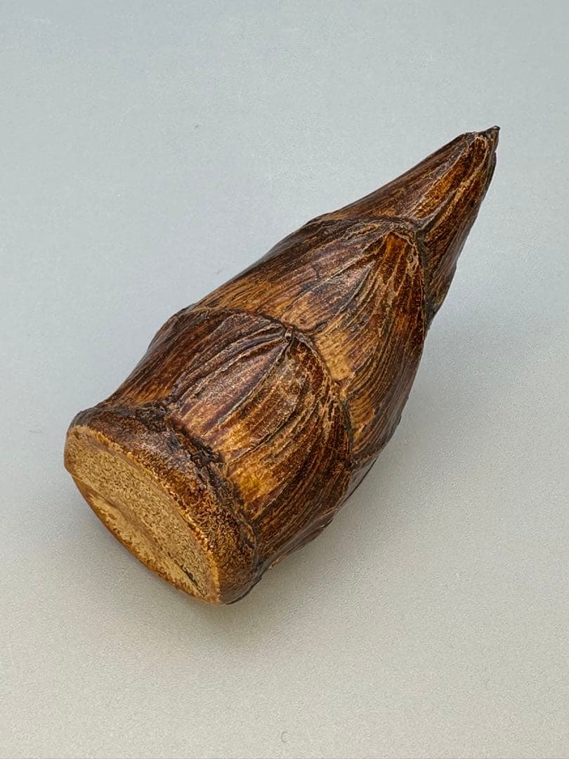 Kawagishi Hideyuki — Takenoko Kogo, Bamboo Shoot Incense Container, Signed Box