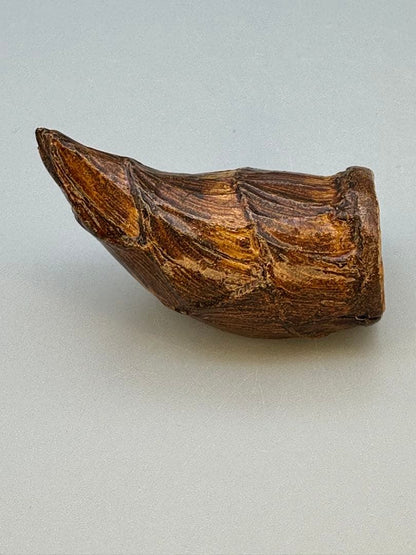 Kawagishi Hideyuki — Takenoko Kogo, Bamboo Shoot Incense Container, Signed Box