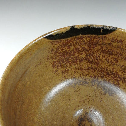 Ogi-Karatsu Chawan by Inoue Kenji — Tenzan-gama | Ame-Yu & Iron Glaze Tea Bowl, Signed Tomobako