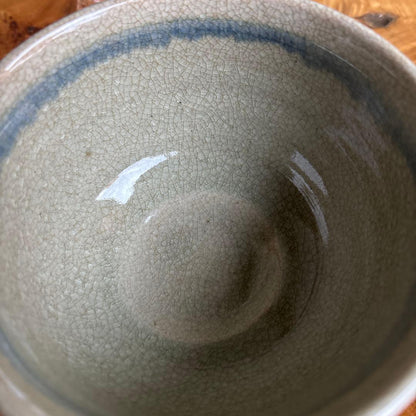 Imperial Theme Seedling Tea Bowl by Terada Bizan III - Toyo Kiln Crackle Glaze Chawan