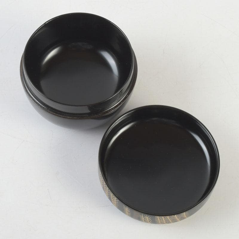 Japanese Lacquer Tea Caddy Hira-Natsume — Weeping Willow Maki-e by Yusai, Tomobako