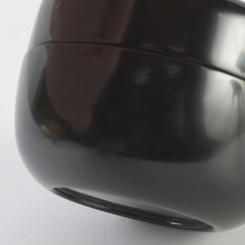 Japanese Lacquer Tea Caddy Hira-Natsume — Weeping Willow Maki-e by Yusai, Tomobako