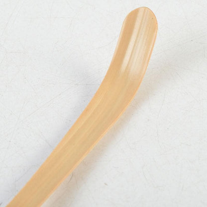Bamboo Chashaku Tea Scoop by Kagerin Sotoku — Named 'Juhyo' (Frost-Rime) — Zen Tea Ceremony Utensil with Inscription by Zen Master Sato Bokudo