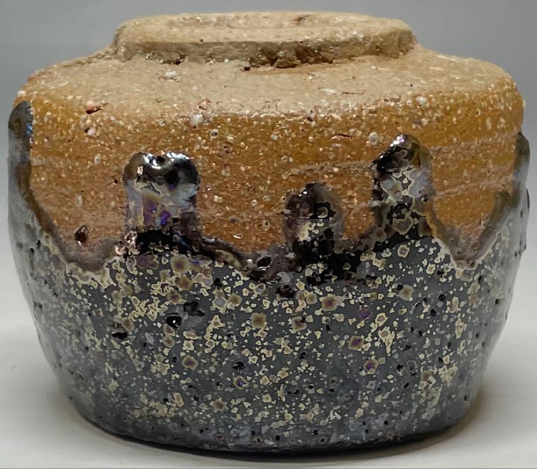 Ogon Tenmoku Guinomi by Fujii Shigeo | Golden Crystalline Glaze Sake Cup with Box