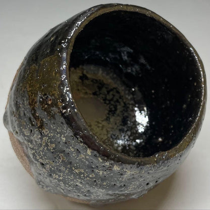 Ogon Tenmoku Guinomi by Fujii Shigeo | Golden Crystalline Glaze Sake Cup with Box