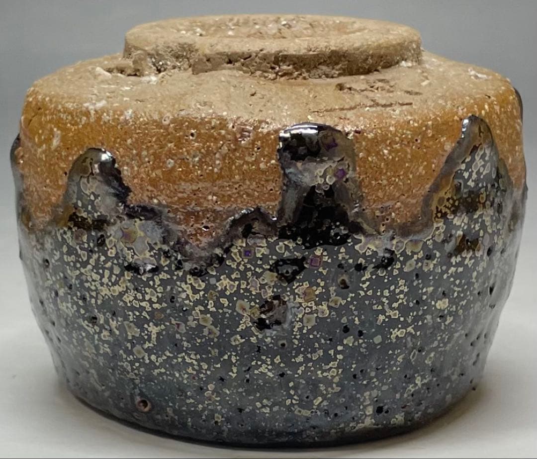Ogon Tenmoku Guinomi by Fujii Shigeo | Golden Crystalline Glaze Sake Cup with Box