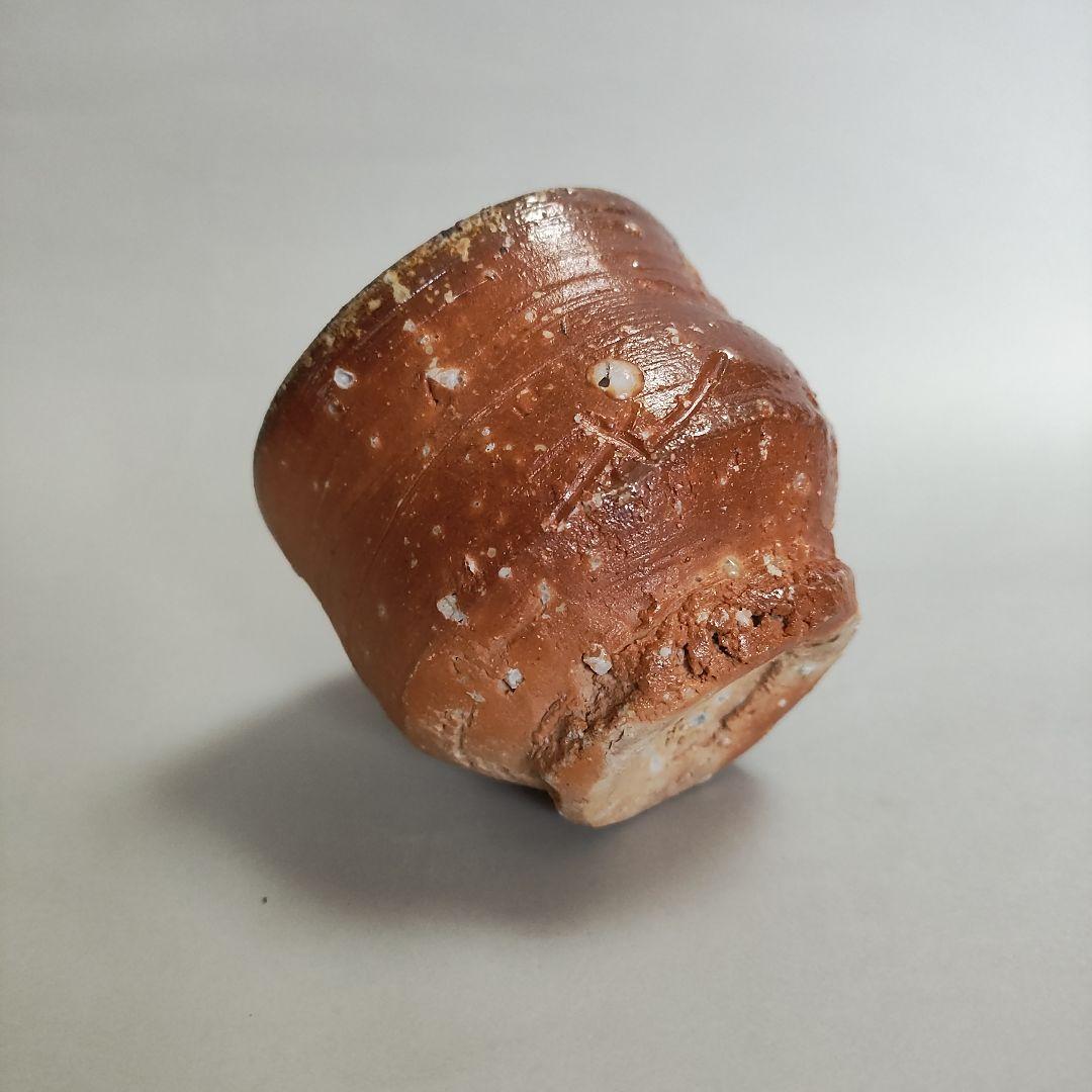 Hashimoto Makoto Shigaraki Guinomi - Six Ancient Kilns Sake Cup with Ishihaze