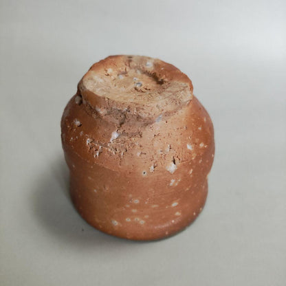 Hashimoto Makoto Shigaraki Guinomi - Six Ancient Kilns Sake Cup with Ishihaze