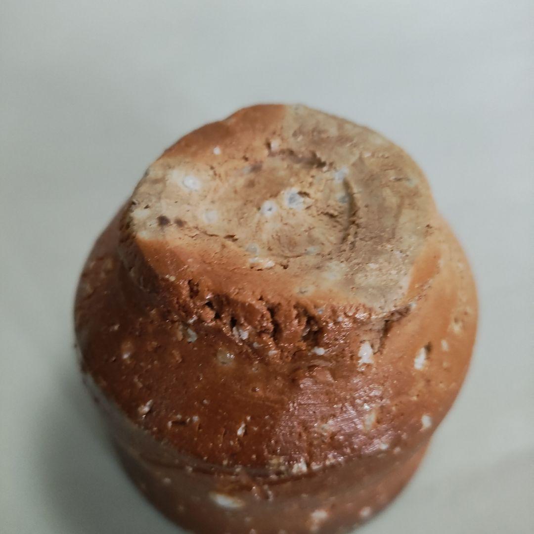Hashimoto Makoto Shigaraki Guinomi - Six Ancient Kilns Sake Cup with Ishihaze