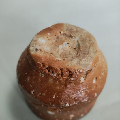 Hashimoto Makoto Shigaraki Guinomi - Six Ancient Kilns Sake Cup with Ishihaze