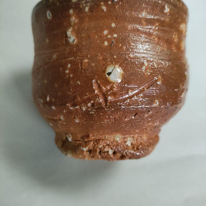 Hashimoto Makoto Shigaraki Guinomi - Six Ancient Kilns Sake Cup with Ishihaze
