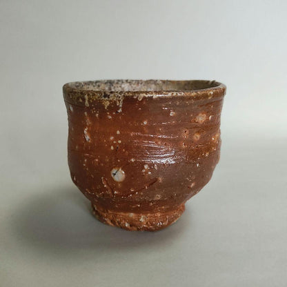 Hashimoto Makoto Shigaraki Guinomi - Six Ancient Kilns Sake Cup with Ishihaze