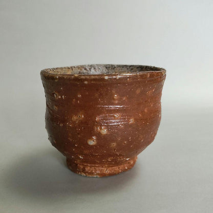 Hashimoto Makoto Shigaraki Guinomi - Six Ancient Kilns Sake Cup with Ishihaze