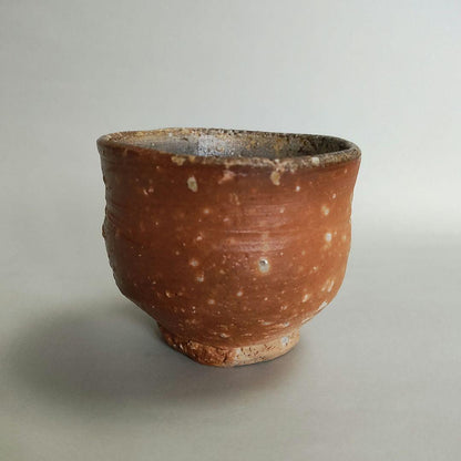 Hashimoto Makoto Shigaraki Guinomi - Six Ancient Kilns Sake Cup with Ishihaze