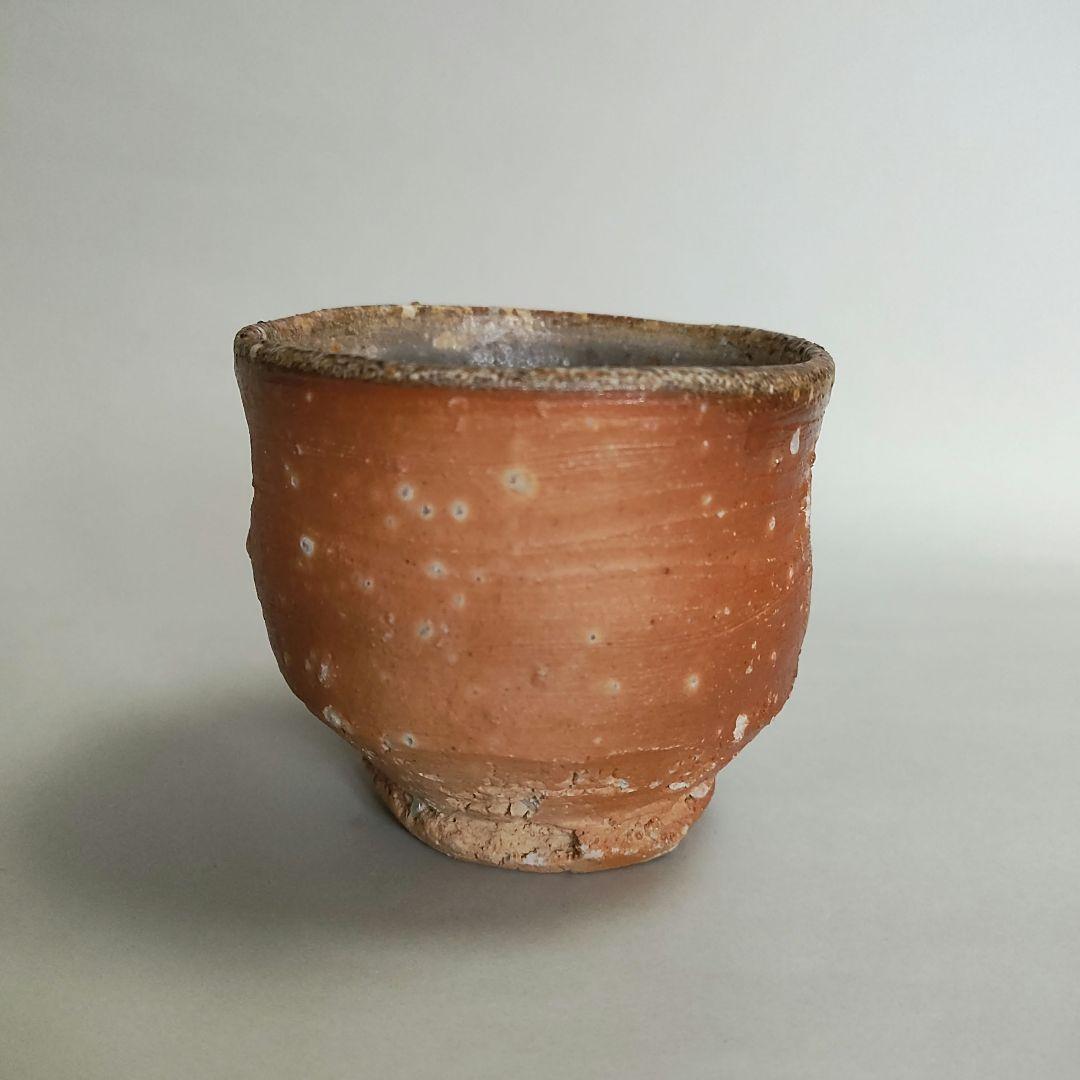 Hashimoto Makoto Shigaraki Guinomi - Six Ancient Kilns Sake Cup with Ishihaze