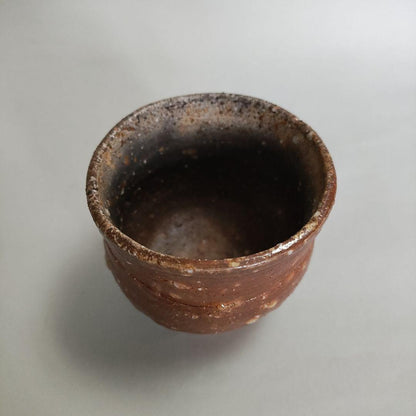 Hashimoto Makoto Shigaraki Guinomi - Six Ancient Kilns Sake Cup with Ishihaze